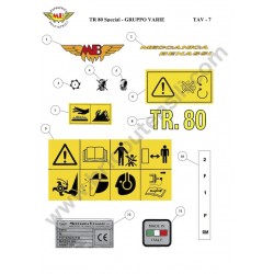 Ricambi Meccanica Benassi per Trinciasarmenti TR 80 Special