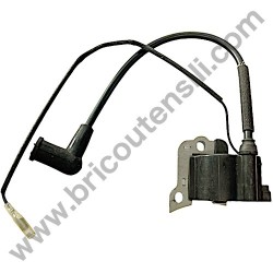 Ignition Coil Ass'y Valex Tucson 31 4T