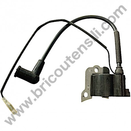 Ignition Coil Ass'y Valex Tucson 31 4T