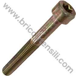 Screw TX M5x40 for Brushcutter Alpina B 26 J