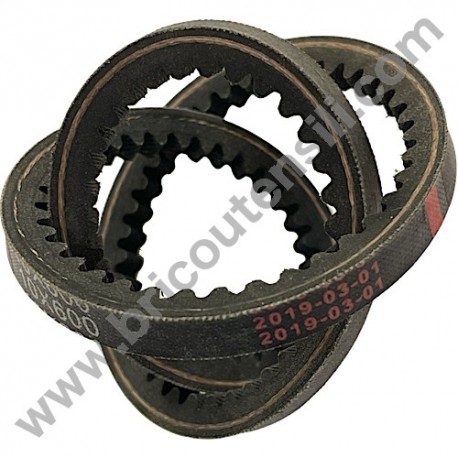 Cinghia per Motozappa Alpina TI 36 G