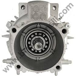 Motor Housing for Pressure Washer Lavor RIO 1108