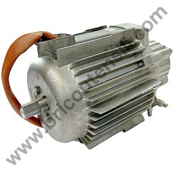 Motor Housing for Pressure Washer Lavor RIO 1108 - 4