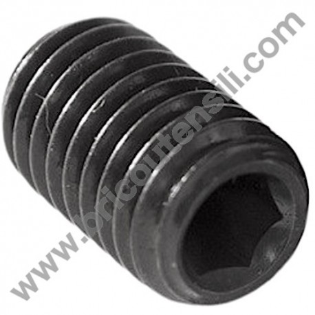 Hex Socket Screw M6X12 for Band Saw BAS 505 Precision WNB
