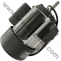 Motor for Drill Press Fox F12-943