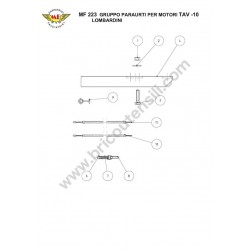 Meccanica Benassi Parts for Motocultivator MF 223 Reverso