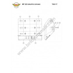Meccanica Benassi Parts for Motocultivator MF 223 Reverso
