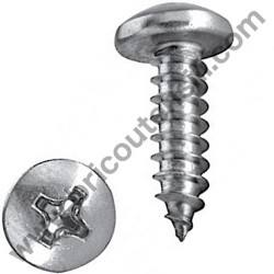 Self-Thread Screw 4x10 for Chainsaw Alpina P 660
