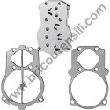 Valve Plate + Gasket Kit for Pump Unit ABAC B5900