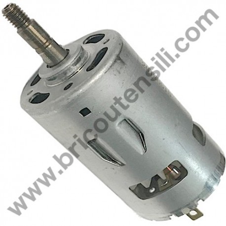 Electrici Motor for Olive Shaker Papillon OS 1000