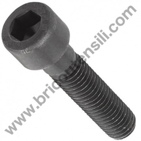 Hex Socket Hd Bolt M5X50 for Hedge Trimmer Tanaka THT 210