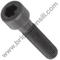 Hex Socket Hd Bolt M5X50 for Hedge Trimmer Tanaka THT 210