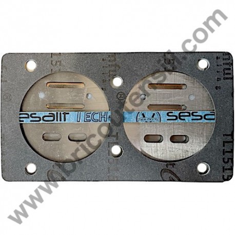 ABAC Valve Plate Kit for Pump Unit B2800 - NS11