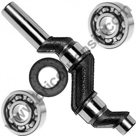 ABAC Crankshaft Kit for Pump Unit B2800