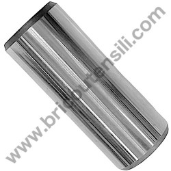 Kit Biella e Pistone BP per Gruppo Pompante ABAC B4900 - NS29