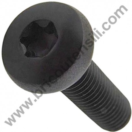 Torx Screw M4x10 for Chainsaw Alpina AC 42