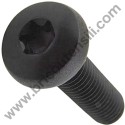 Torx Screw M4x10 for Chainsaw Alpina AC 42