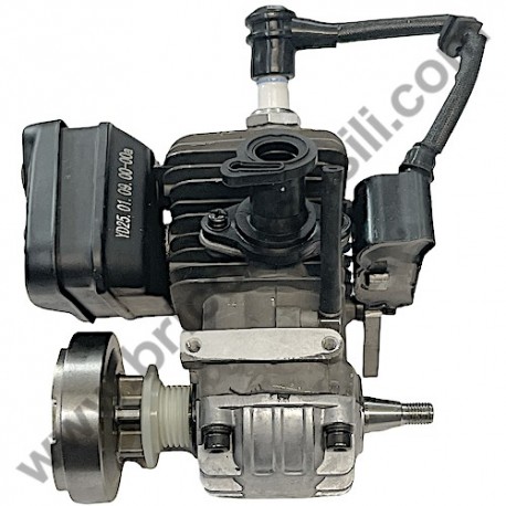 Engine EURO 2 Ass'y for Chainsaw Alpina A 305