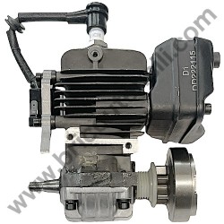 Motore Completo EURO 2 per Motosega Alpina A 305 - 1