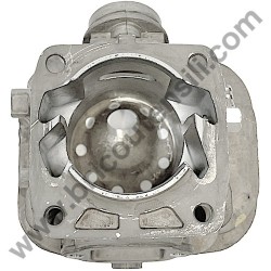 Assieme Cilindro e Pistone per Motosega Alpina AC 42 - 1