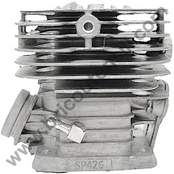 Assieme Cilindro e Pistone per Motosega Alpina AC 42 - 2