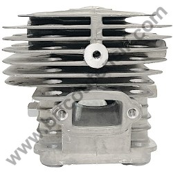 Assieme Cilindro e Pistone per Motosega Alpina AC 42 - 3