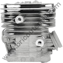 Assieme Cilindro e Pistone per Motosega Alpina AC 42 - 4