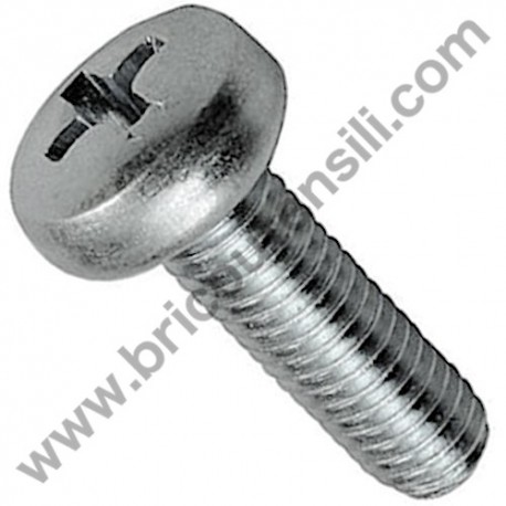 Viti per Metallo Testa Cilindrica a Croce 6 mm