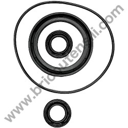 Oil Seal Kitfor Pressure Washer Lavor Independent 2800