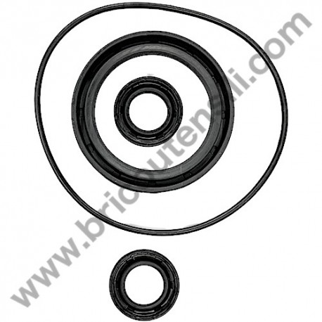 Kit Tenute Olio per Idropulitrice Lavor Independent 2800