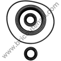 Oil Seal Kitfor Pressure Washer Lavor Independent 2800 - 1