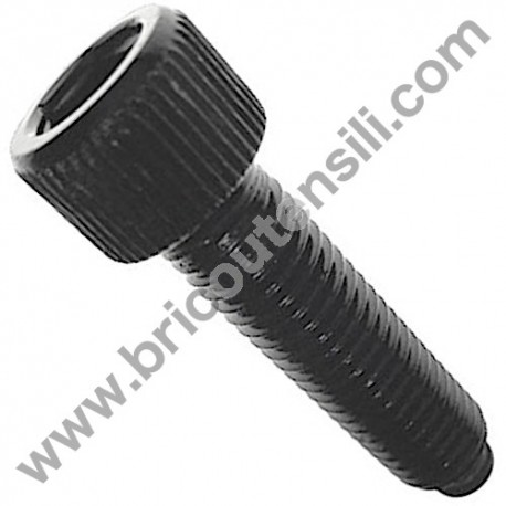 Vite di Blocco Piano Girevole per Troncatrici Femi 732