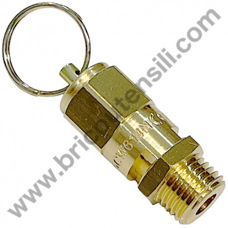 Valvola di Sicurezza 1/4" 10,5 Bar per Gruppi Pompanti ABAC