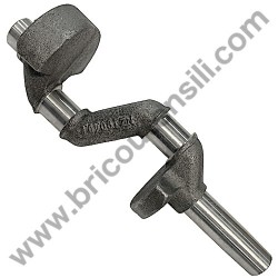 Crankshaft for Pump Unit Fiac AB 415 - 1