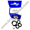 Kit Parts Oil Sealed for Pressure Washers Annovi & Reverberi 737-747