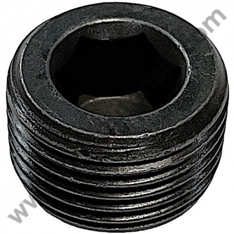 Vite STEI 3/8" per Idropulitrici Lavor NPX 1400 - NPX 1500