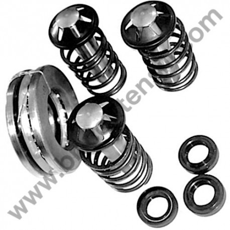 Kit Pistons for Pressure Washers Annovi & Reverberi AR490-12769