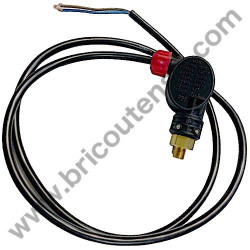 Motorpump Ass'y for Pressure Washer Lavor RIO 1108 - Pressure switch - 1