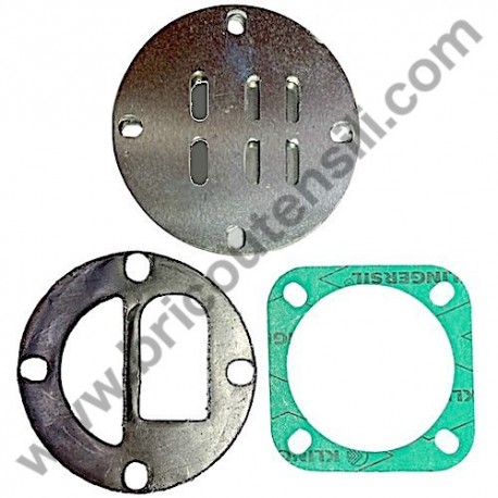 Valve Plate Kit for Pump Unit FIAC GM 110/15 Bar