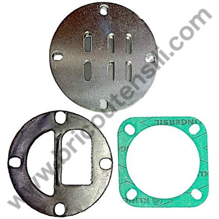 Valve Plate Kit for Pump Unit FIAC GM 110/15 Bar