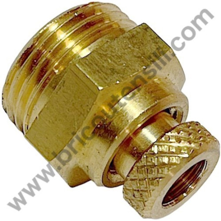 Rubinetto Spurgo 3/8" per Compressori FIAC