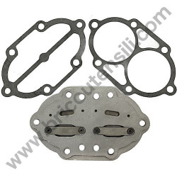 Valves Plate Set for Pump unit FIAC AB248 - 1