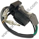 Bobina Accensione per Generatore Yamato G 800