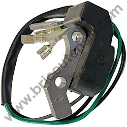 Bobina Accensione per Generatore Yamato G 800 - 1