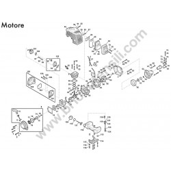 Ricambi Alpina per Decespugliatore MT 520 D - Motore