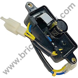 Regolatore AVR per Generatore Makita EG2250A - 1