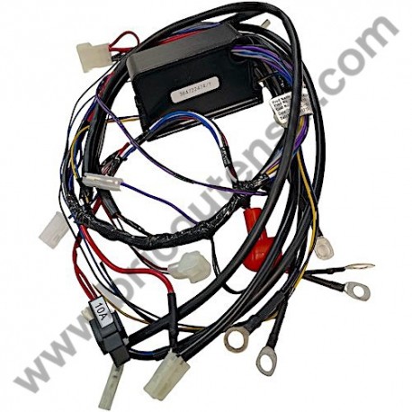 Alpina BT 66 PC Board + Wiring Loom Assembly