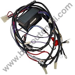 Alpina BT 66 PC Board + Wiring Loom Assembly - 1