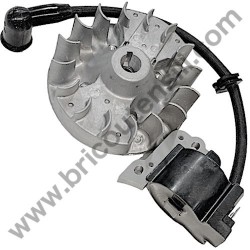 AMA AG1-BL Ignition Coil-Flywheel - 1