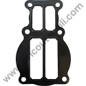 ABAC Pump Unit NS39 Valve Plate Gasket